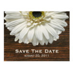 White Gerbera & Barnwood Save The Date Postcard