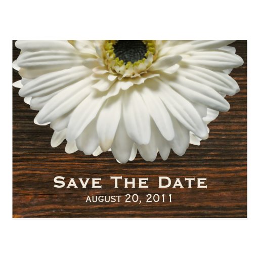 White Gerbera & Barnwood Save The Date Postcard