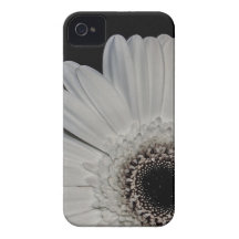 White Gerbera Flower iPhone 4 Cases