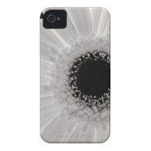 White Gerbera Flower iPhone 4 Covers