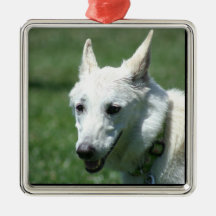 White German Shepherd ornament