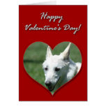 White German Shepherd Valentines Day Card