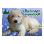 "White Golden Doodle Christmas" Greeting Cards