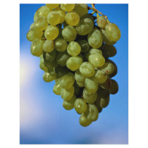 White grapes in sky flyers