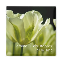 White & Green Variegated Tulips DSC0856 Fridge Magnet