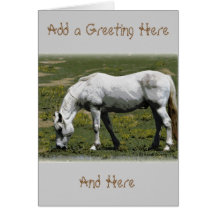White / Grey Horse Greeting Card