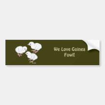 White Guinea Keets Bumper Stickers