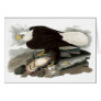 White Headed Eagle by John James Audubon 1829 Cards