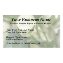 White Hellebore Flower Bud Business Card