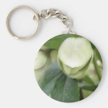 White Hellebore Flower Bud Key Chains