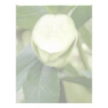 White Hellebore Flower Bud Letterhead