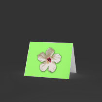 White Hibiscus Notecards