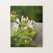 White honeysuckle on old fence photo jigsaw puzzle