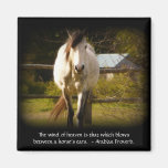 White Horse and Arabian Proverb Heavenly Magnet