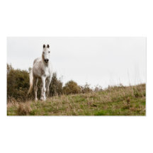 White horse business card