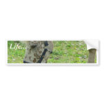 White Horse Close Up Bumper Sticker