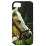 White Horse Closeup iPhone 5 Case