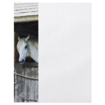 White Horse in Stable Personalized Flyer