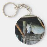 White Horse in Stable Key Chain