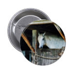 White Horse in Stable Pin