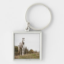 White horse key chains