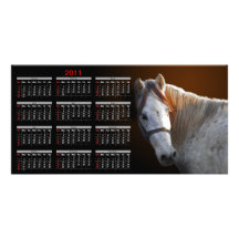 White Horse Looking Back Calendar Photo Cards