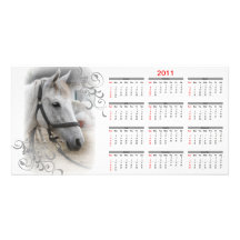 White Horse Portrait Calendar Photo Cards