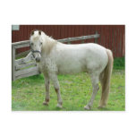 White Horse Post Cards