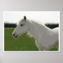 White Horse Poster