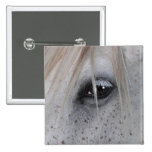 White Horse's Eye Equine Photography Pinback Button