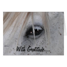 White Horse's Eye Equine Photography Thank You Card