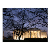White House Night Scene Postcard