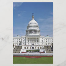 White House US Capitol Building Washington DC Custom Flyer