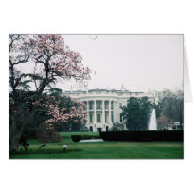 White House with Cherry Blossoms  Greeting Cards