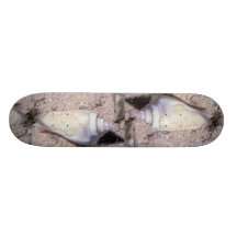 White hump-back conch (Strombus gibberculus albus) Skateboard Decks