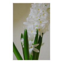White Hyacinth. Custom Stationery