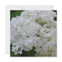 White Hydrangea Invitations