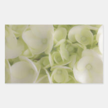 White hydrangea sticker