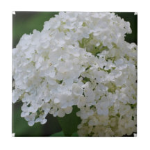 White Hydrangea Tile or Trivet