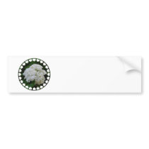 White Hydrangeas Bumper Stickers
