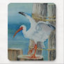 White Ibis by Peggy Allen Mousepad