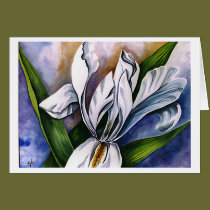 White Iris 2 by Barbara Beck-Azar cards