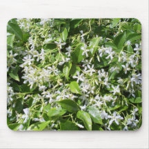 White Jasmine Flowers Mouse Pad