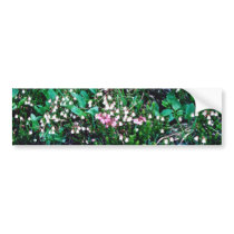 white Jasper National Park, Bell Heather flowers Bumper Sticker