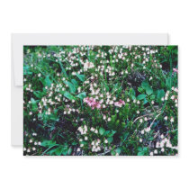 white Jasper National Park, Bell Heather flowers Personalized Invitation