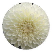 white jomanda round stickers