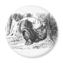 White King Sleeping magnets