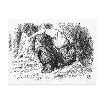 White King Sleeping postcards