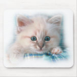 white kitten -  blue eyes mouse pad