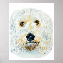 White Labradoodle Maggie Print